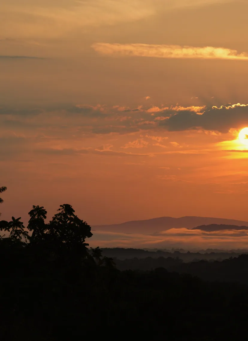 Sunset over misty hills and a dark tree line