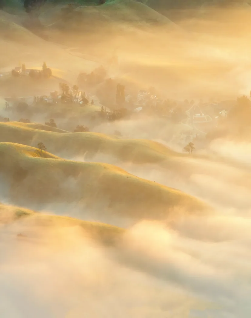 Rolling hills and a village emerging from golden morning mist